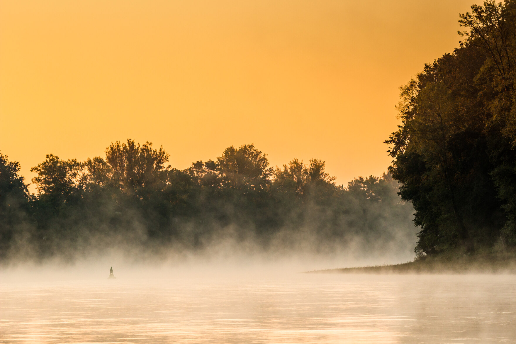 Aufsteigender Nebel über der Elbe in Dresden