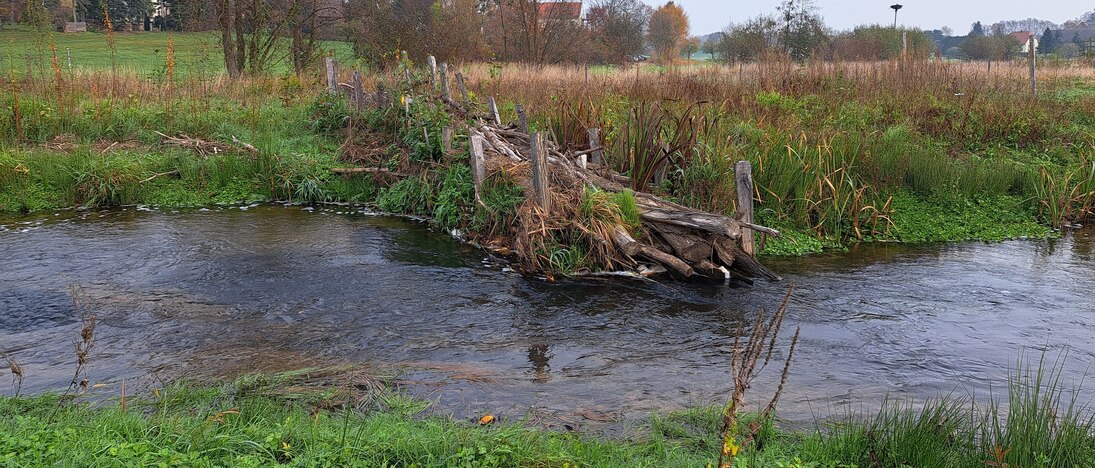 Buhne aus Holz am Schwarzwasser, welche die Strömungsdiversität erhöht